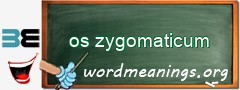 WordMeaning blackboard for os zygomaticum